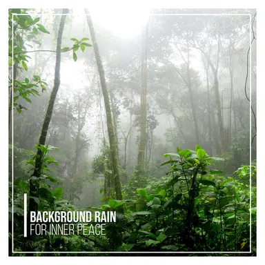 Rain's Kiss