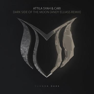 Dark Side Of The Moon (Andy Elliass Remix)