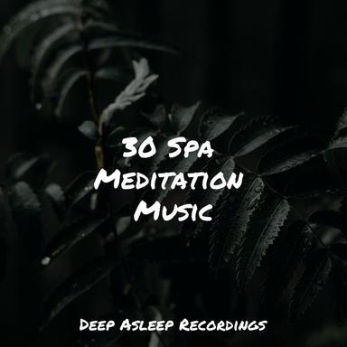30 Spa Meditation Music