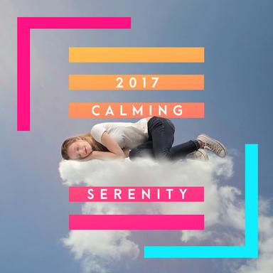 2017 Calming Serenity