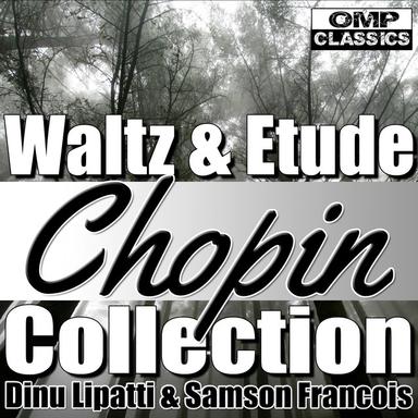 12 Etudes, Op. 25: No. 3 in F Major