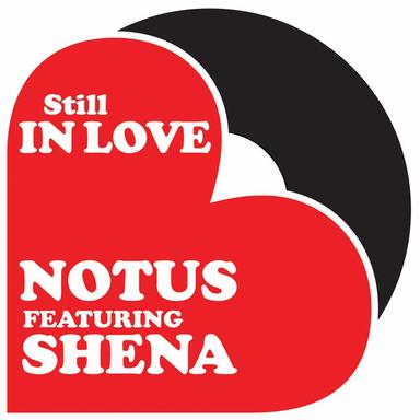 Still In Love - Tom Novy Remix