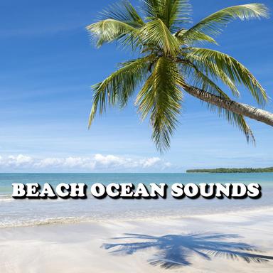 Energetic Hawaiian Beach Waves