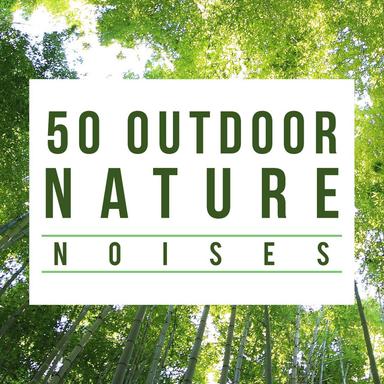 Rain Showers (No Fade)