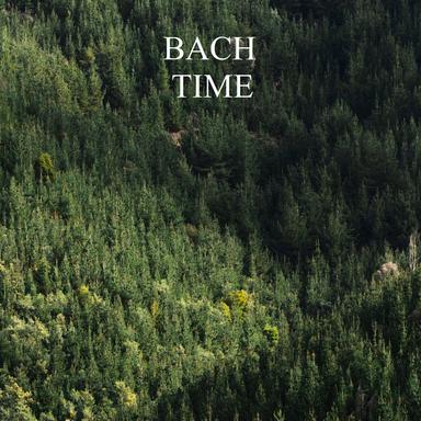 Prelude & Fughetta in G Major, BWV 902: I. Prelude