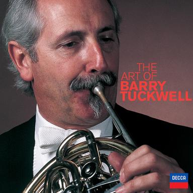Horn Concerto, Op. 8: 3. Allegro molto