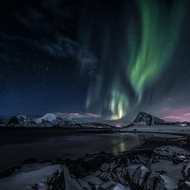 Nature's Heartbeat