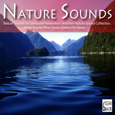 Sounds of Nature