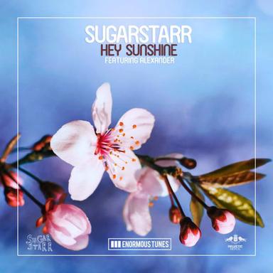 Hey Sunshine - Radio Edit
