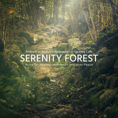 Eternal Space - Original Mix