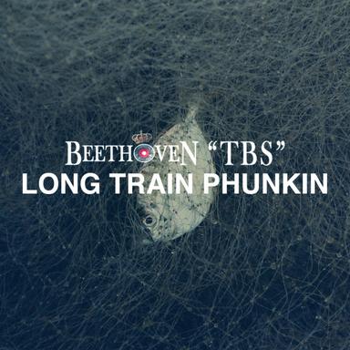 Long Train Phunkin' - Original Mix