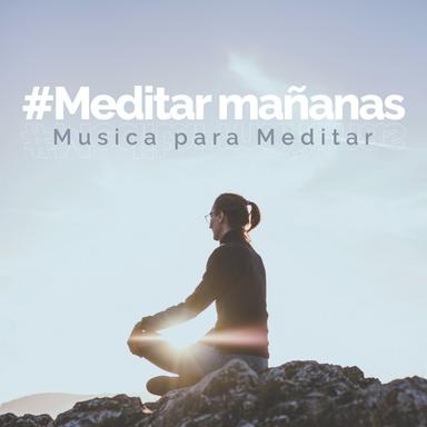 #Meditar mañanas