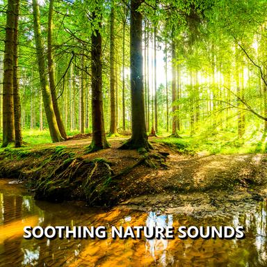 Scenic Garden Nature Recording