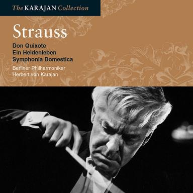 Strauss: Sinfonia Domestica, Op. 53, TrV 209: III. Adagio (Langsam)