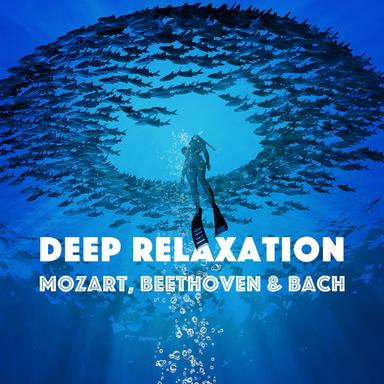 Symphony No. 9 in E Minor, Op. 95, B. 178, "From the New World": II. Largo