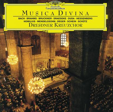 Os justi meditabitur sapientiam (Motet)