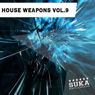 House Weapons, Vol.9