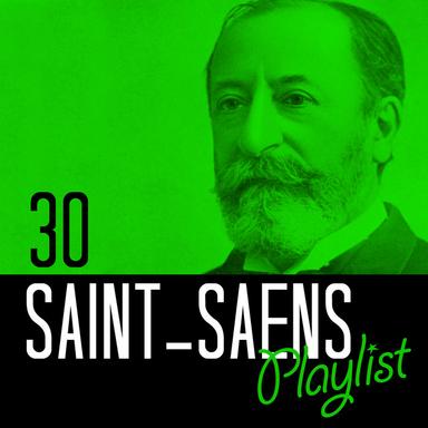 Violin Concerto No. 3 in B Minor, Op. 61: III. Molto moderato e maestoso - Allegro non troppo