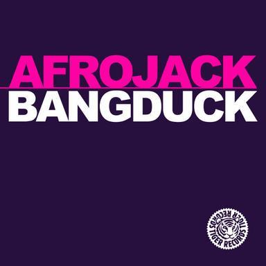 Bangduck - DJ Falk Edit