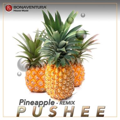 Pineapple - Claus Neuefeind Floating Remix