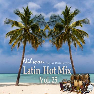 Latin Hot Mix, Vol. 25