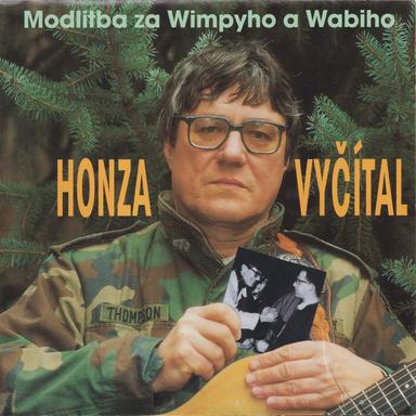 Vracecí kocour