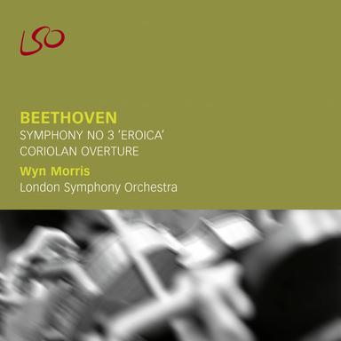 Symphony No. 3 in E-Flat Major, Op. 55 "Eroica": II. Marcia funebre