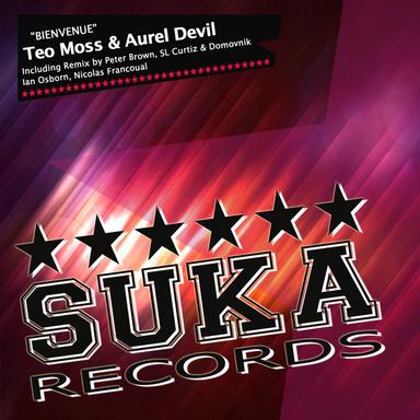 Bienvenue - Sl Curtiz & Domovnik Remix