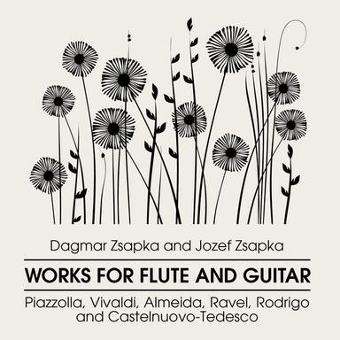 Concerto in G Major for Flute, Guitar and Strings, RV 532: II. Andante