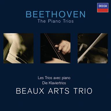 Piano Trio in D after Symphony No. 2: 4. Allegro molto