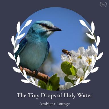 Embezzled Negativity - Original Mix