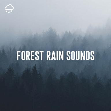 Lakeside Rain