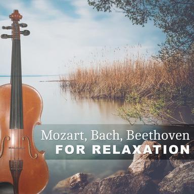 Cello Suite No. 2 in D Minor, BWV 1008: I. Prelude