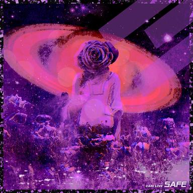Safe