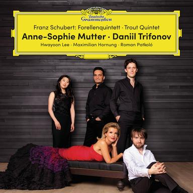 Ellens Gesang III, Op. 52, No.6, D 839: Ave Maria In B Flat Major (Arr. For Violin And Piano)