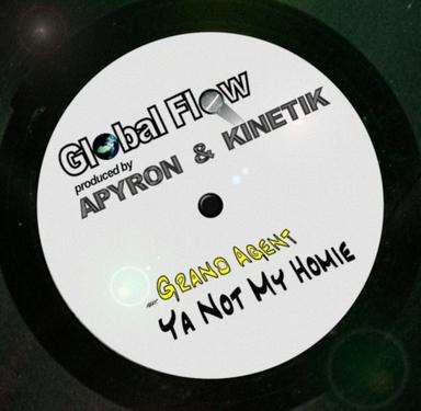 Ya Not My Homie - Global Flow