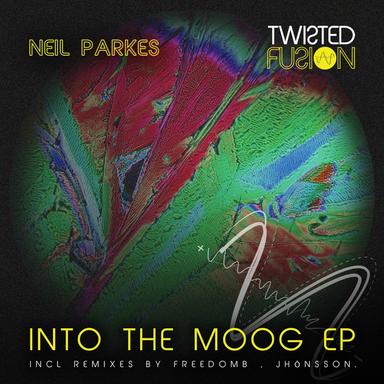 Into The Moog - FreedomB Remix