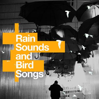 Veranda Rain