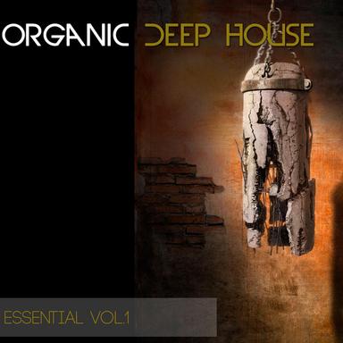 Stimulus - Deep Mix