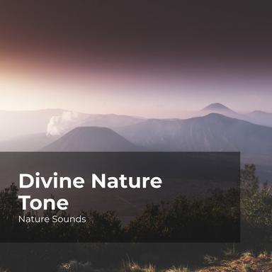 Soft Gentle Splashes