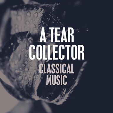 Piano Concerto No. 4 in G Major, Op. 58: II. Andante con moto