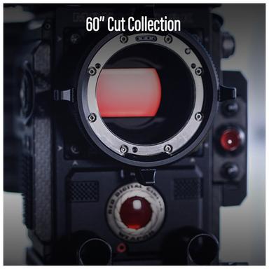 60s Sexy Pop Organ - Stinger