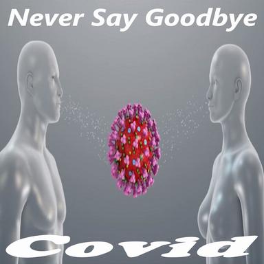Never Say Goodbye - Radio Version