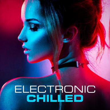 Disco Infiltrator - FK's Infiltrated Dub Mix