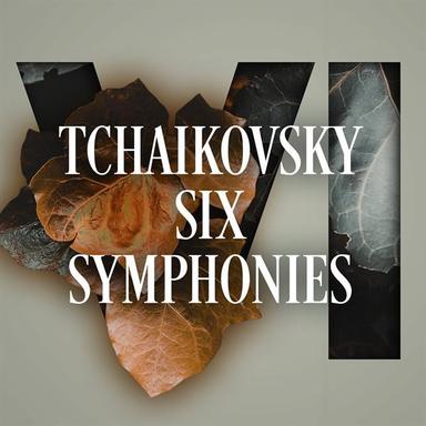 Symphony No. 6 in B Minor, Op. 74 "Pathétique": IV. Adagio lamentoso