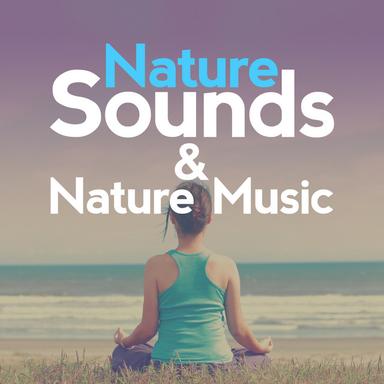 The Sound of Birds
