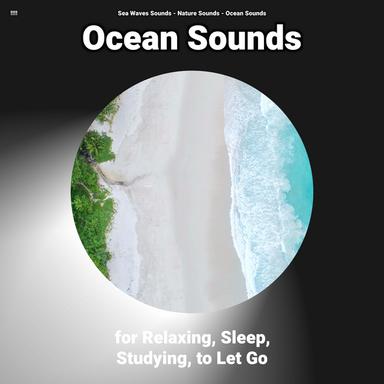 !!!! Ocean Sounds for Relaxing, Sleep, Studying, to Let Go