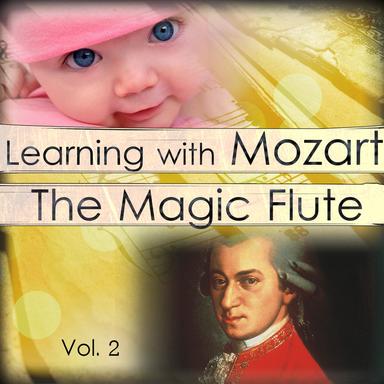 Flute Concerto No. 1 in G Major, K. 313 : I. Allegro Maestoso