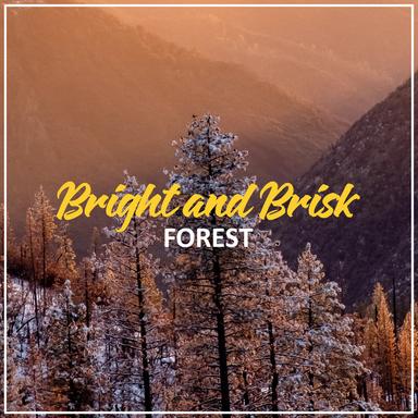 Bright and Brisk