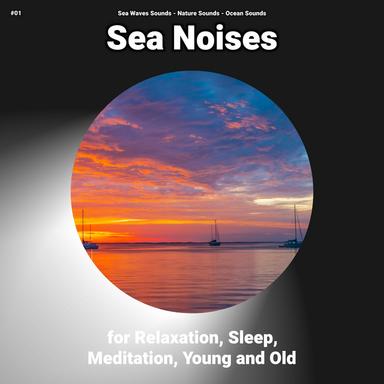 Ocean Noises for Meditation